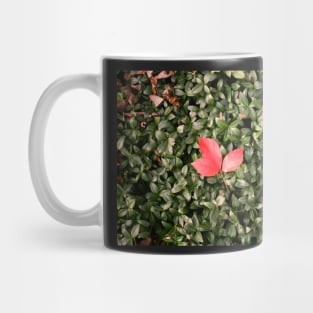 Bed of Green Mug